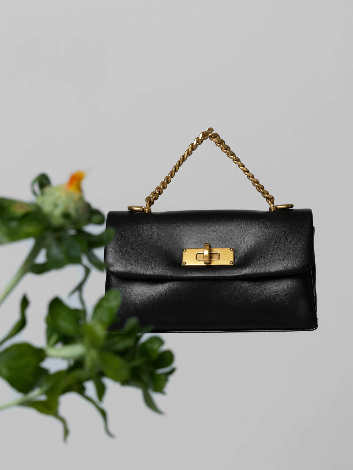 Kerry ケリー ウォレットオンチェーン, ブラック, hi-res