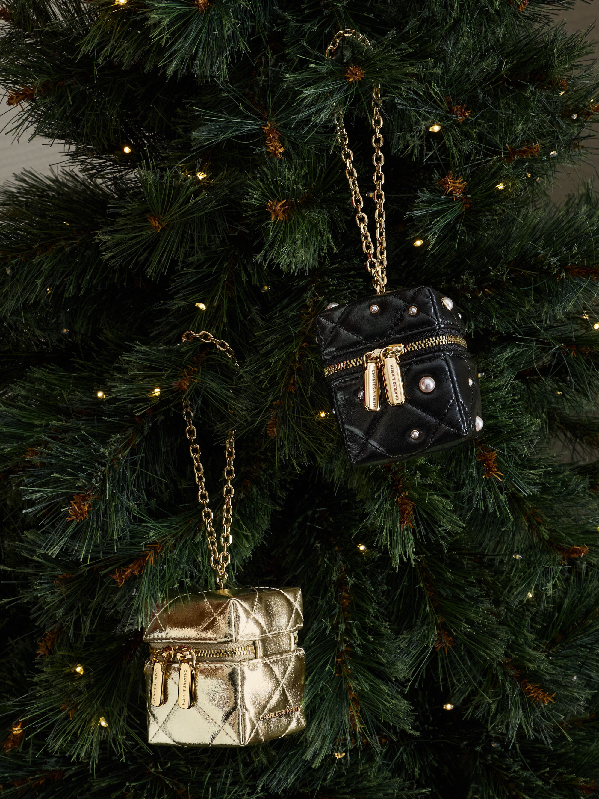 ちっぷ３ ジャンニキャリーニ チャールズアンドキース セット GIANNI CHIARINI（ジャンニ キアリーニ） レッキスファー バッグ